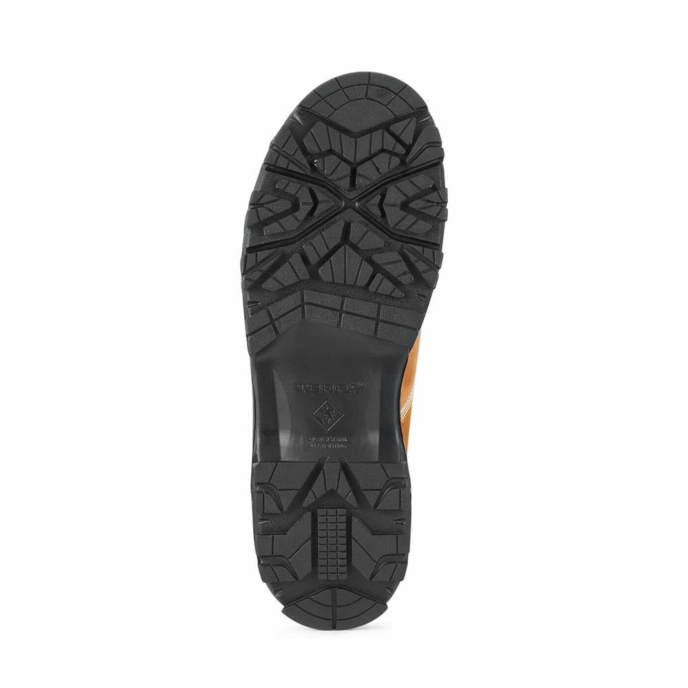 Terra Footwear 8" SENTRY 2020 Noir Bottes de travail - Boutique du Cordonnier