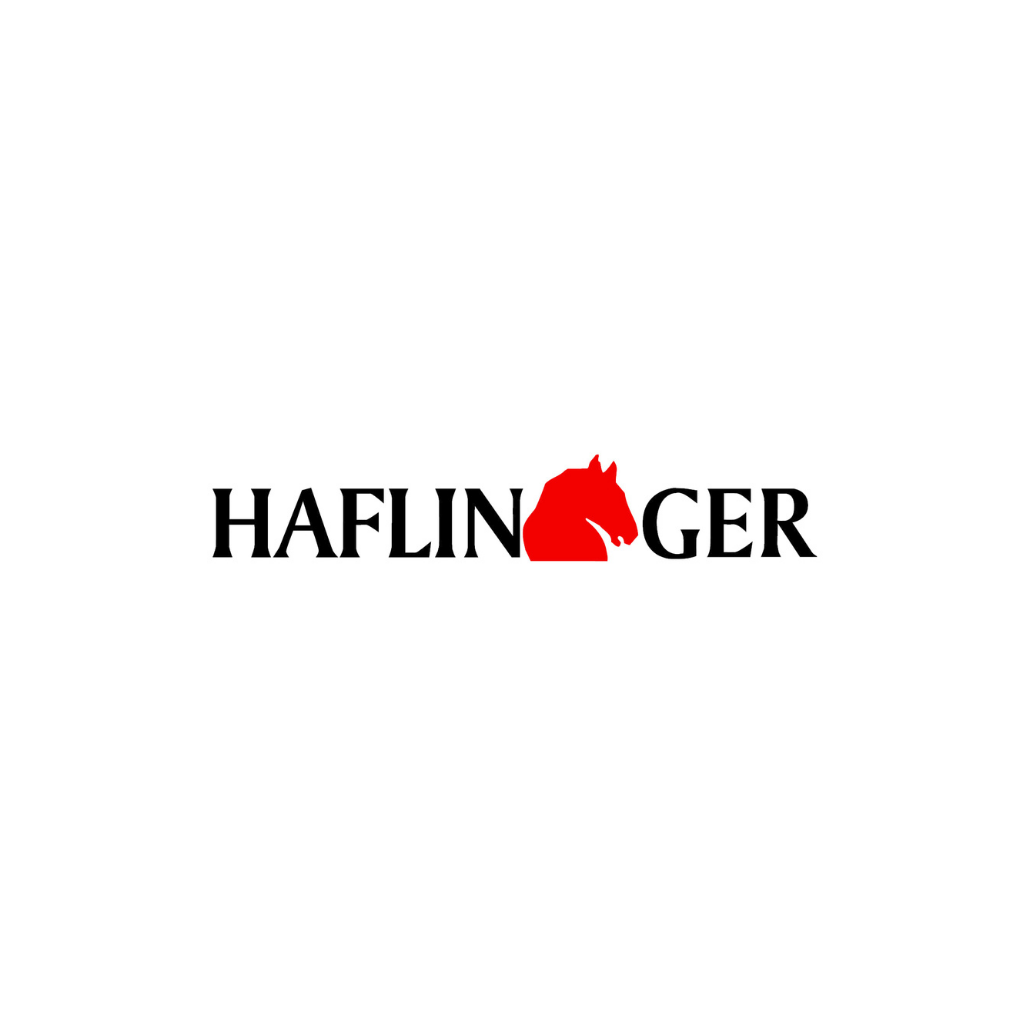 Haflinger hommes