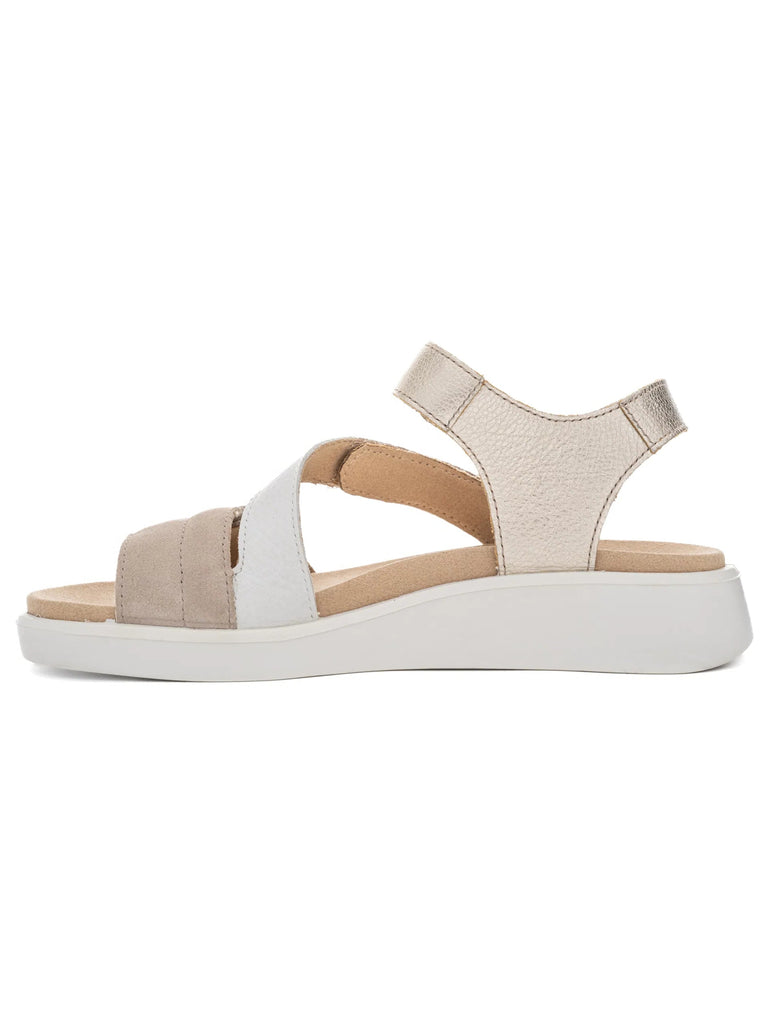 ARA Madeira 12-21407-11 Sand/Weiss/Platin - Boutique du Cordonnier
