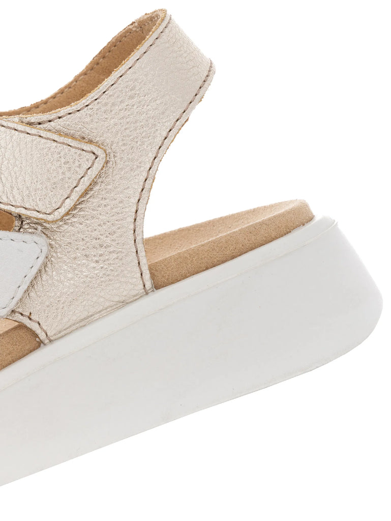 ARA Madeira 12-21407-11 Sand/Weiss/Platin - Boutique du Cordonnier