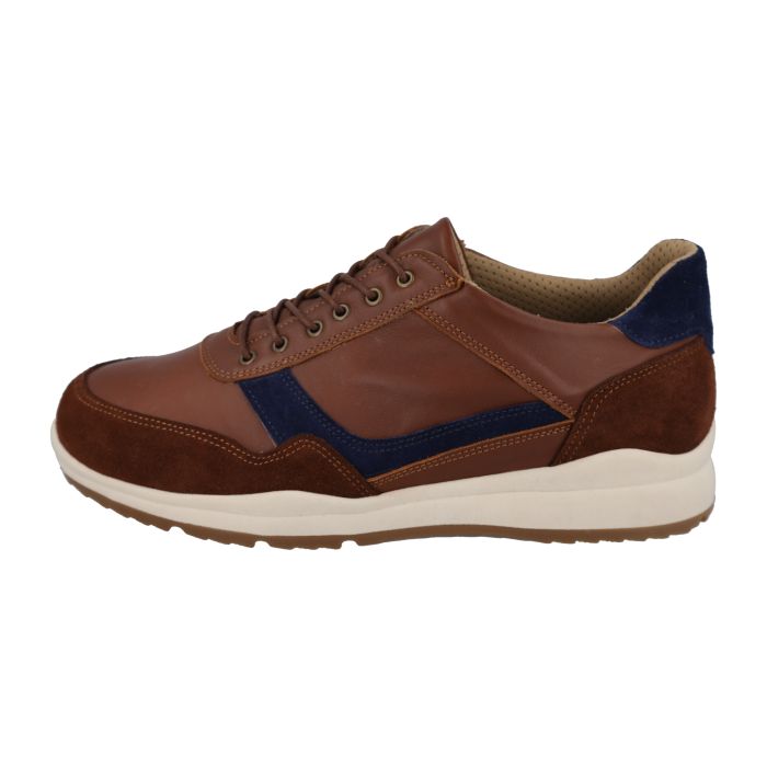 DB Shoes BENEDICT 80240T Tan/Navy - Boutique du Cordonnier