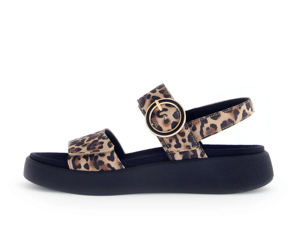 Gabor 62.863.90 Nature - Boutique du Cordonnier