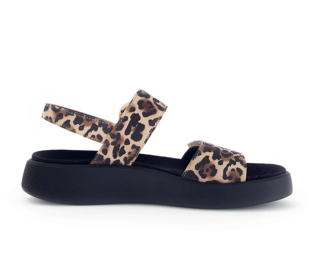 Gabor 62.863.90 Nature - Boutique du Cordonnier