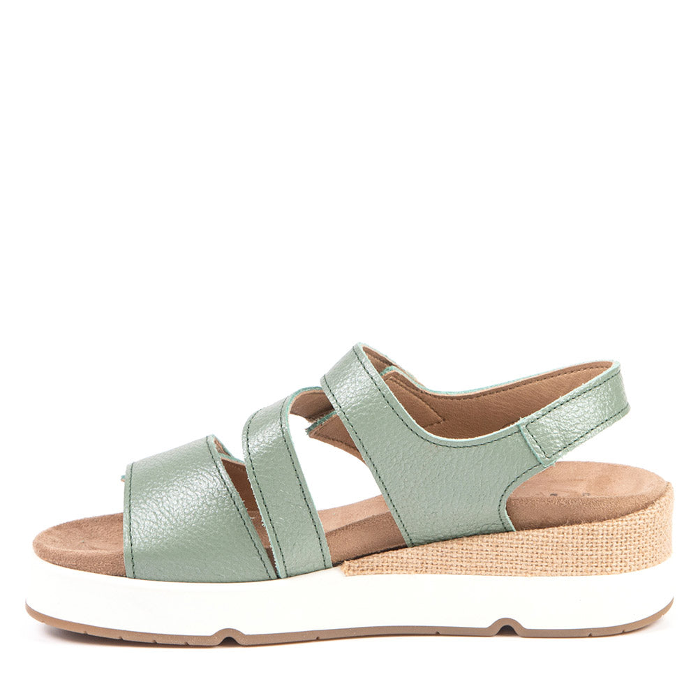 Portofino Anzia AP-11427 Verde - Boutique du Cordonnier