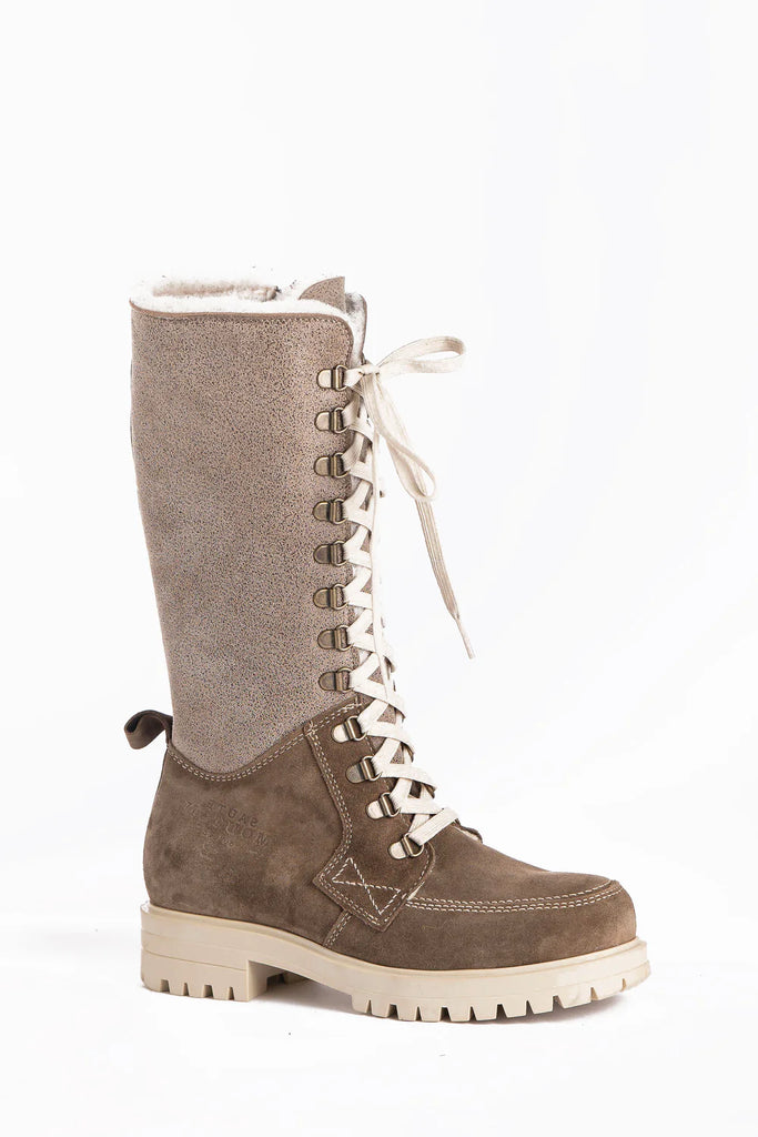 Saute-Mouton ALBYNA 2679 Taupe - Icona - Boutique du Cordonnier