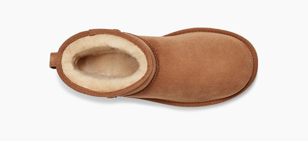 UGG Classic Mini II 1016222 Chestnut - Boutique du Cordonnier