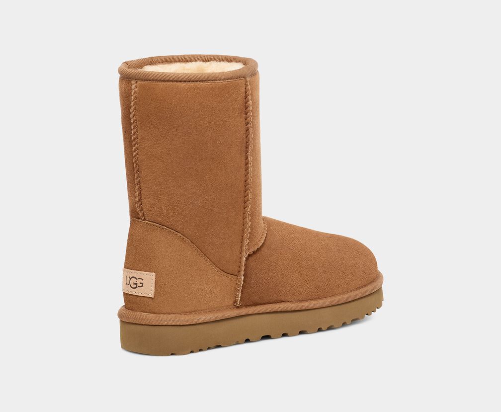 UGG Classic Short II 1016223 Chestnut | Bottes d'hiver pour femmes - Boutique du Cordonnier